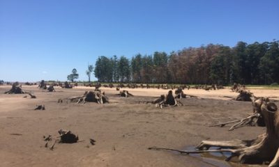 FOTO: Mario Pastorini.